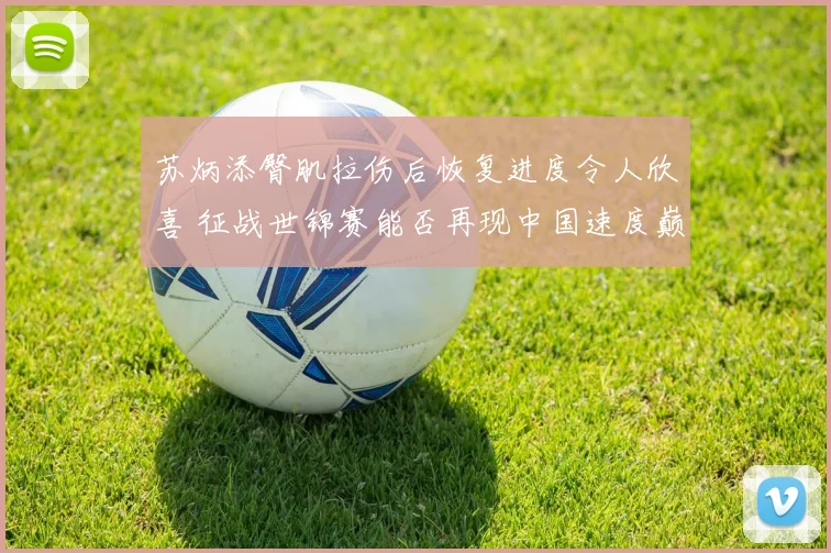 苏炳添臀肌拉伤后恢复进度令人欣喜 征战世锦赛能否再现中国速度巅峰