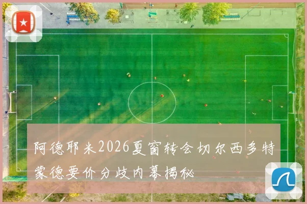阿德耶米2026夏窗转会切尔西多特蒙德要价分歧内幕揭秘
